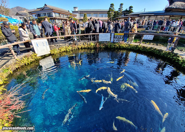 A picture of Oshino Hakkai pointed at a pond full of fish.
